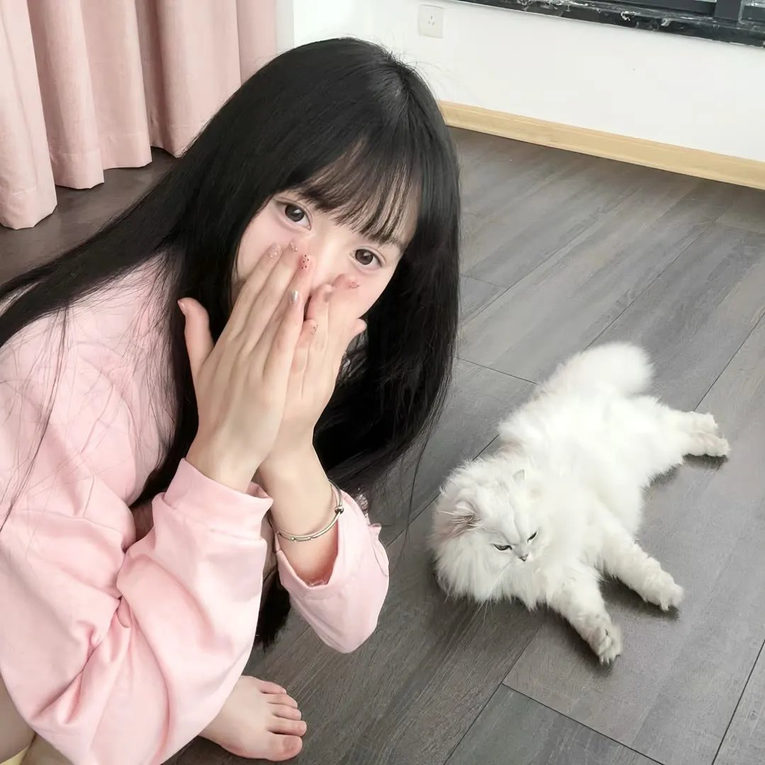 巴塔哥尼亚